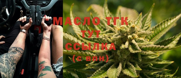 соль ск Бородино