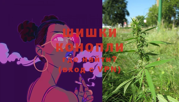 винт Бронницы