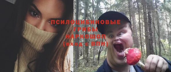 винт Бронницы